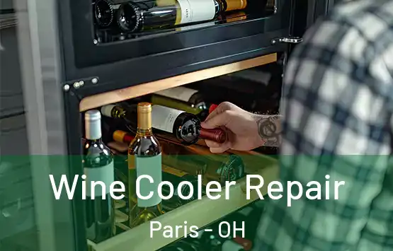  Wine Cooler Repair Paris - OH