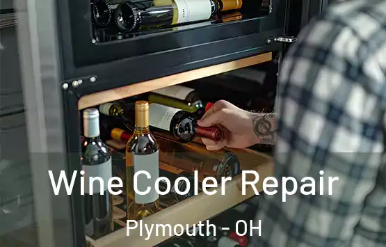  Wine Cooler Repair Plymouth - OH