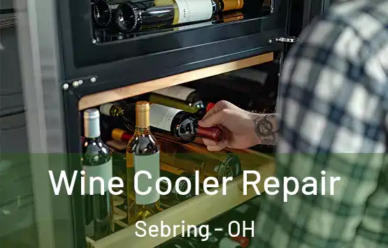  Wine Cooler Repair Sebring - OH