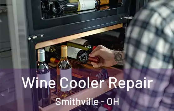  Wine Cooler Repair Smithville - OH