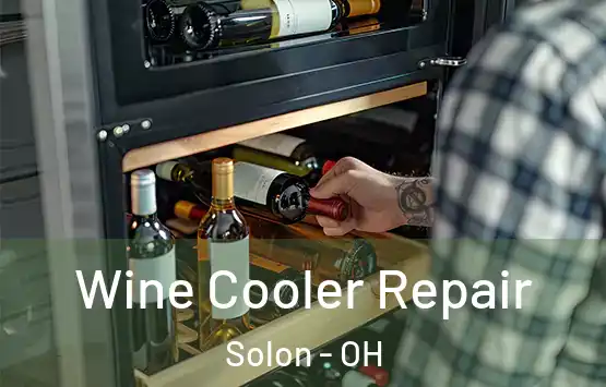  Wine Cooler Repair Solon - OH