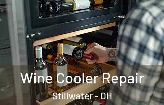  Wine Cooler Repair Stillwater - OH