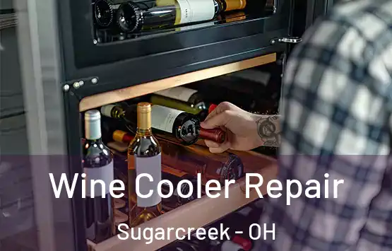  Wine Cooler Repair Sugarcreek - OH