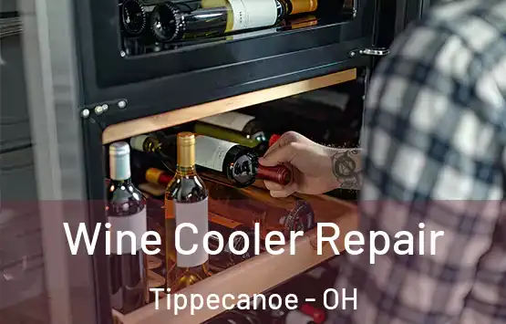  Wine Cooler Repair Tippecanoe - OH