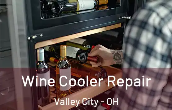  Wine Cooler Repair Valley City - OH