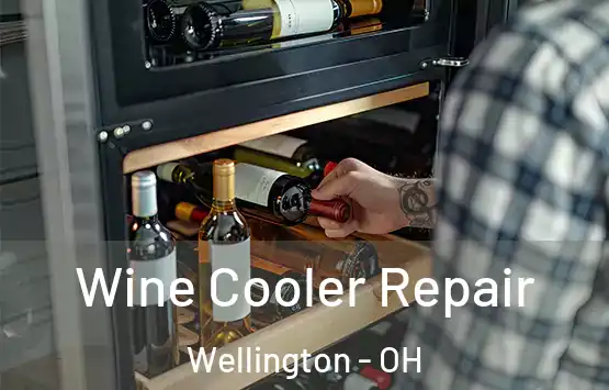  Wine Cooler Repair Wellington - OH